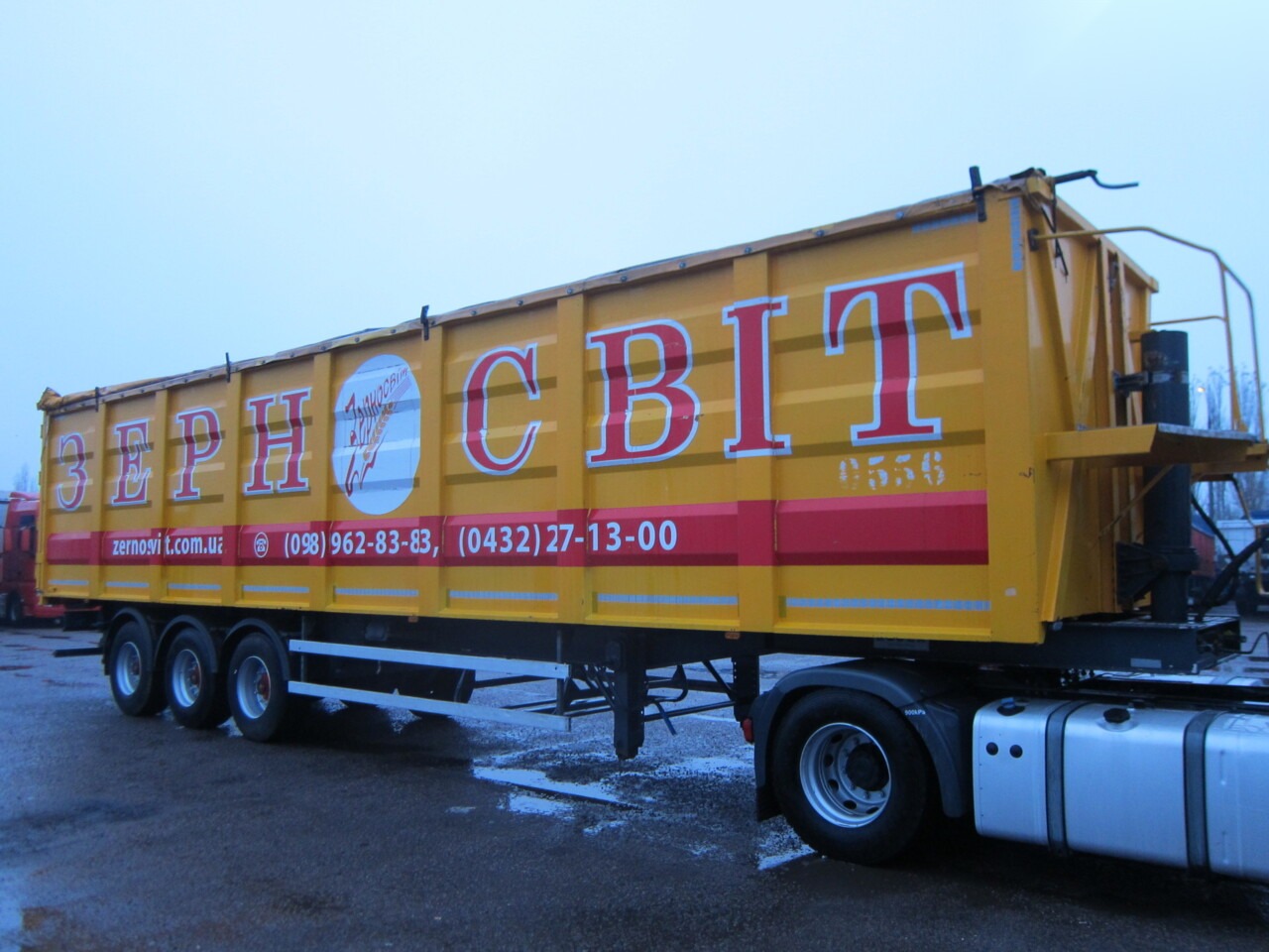 Bodex SAF 2013